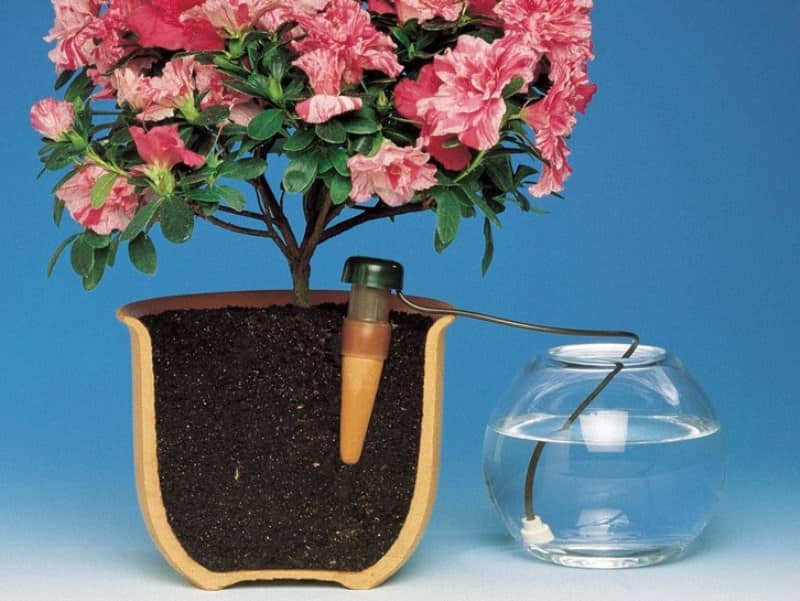 Фотография устройства для автоматического полива для комнатных растений Bluemat