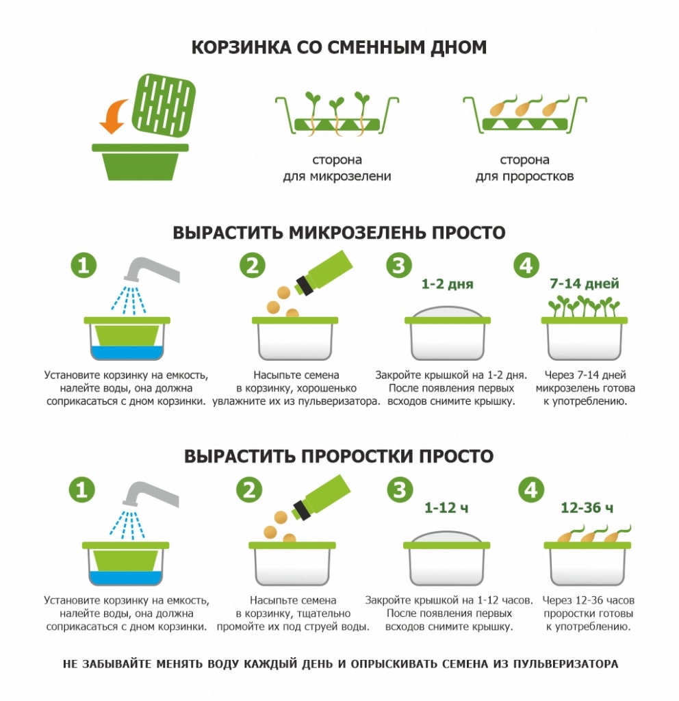 Как вырастить микрозелень в проращивателе Здоровья Клад
