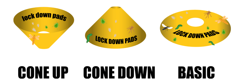   LockDown Pads   