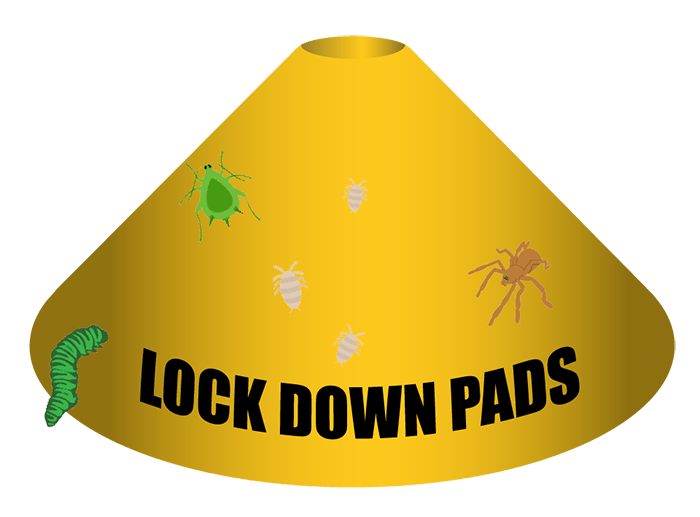   LockDown Pads    -  2