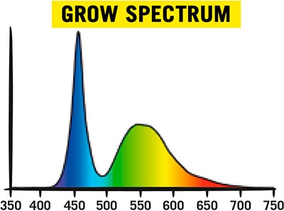  LED  Secret Jardin Cosmorrow Grow 20 