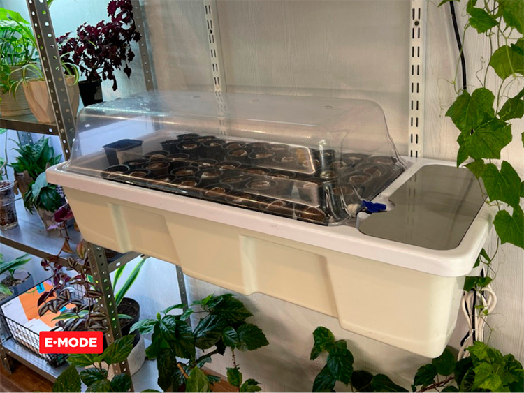 EBB & FLOW ������� ��� ������������ E-Mode ������