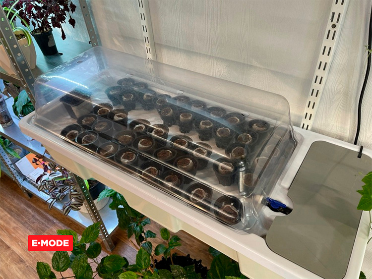 EBB & FLOW ������� ��� ������������ E-Mode ������