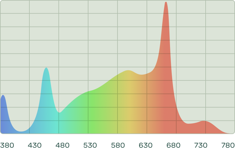 ������������� ����������� Rootster Board 250 W