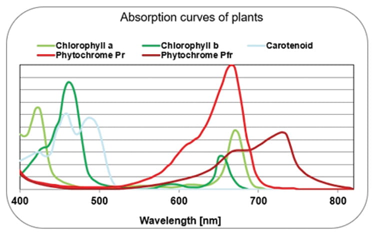 ������ ������������� ������� Lumatek Individual LED Bar 100 ��