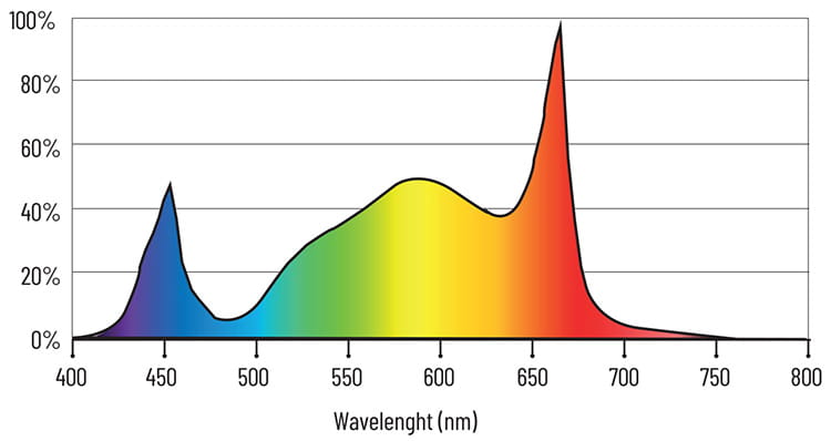 ������ ������� SQD Spectrum Graph Lumatek Zeus 600 �� Pro 3.1