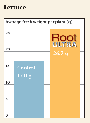 ���������� ������������ ��������� Root Ultra �� ���� � �������� ��������