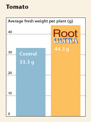 ���������� ������������ ��������� Root Ultra �� ���� � �������� ��������