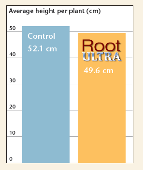 ���������� ������������ ��������� Root Ultra �� ���� � �������� ��������
