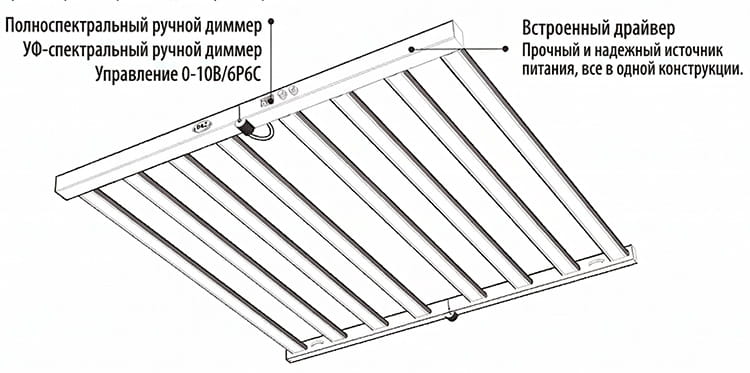 ���������� LED ����������� Grow Start D&Z 800W + 100W Horti