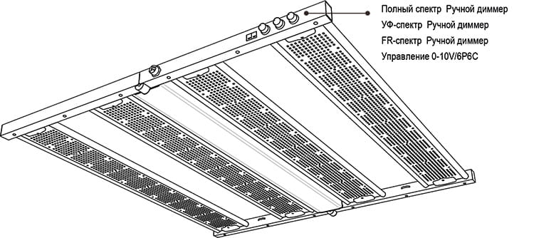 ���������� ��� �������� Grow Start D&Z29 1000W Pro Horti