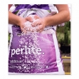 Plagron Perlite