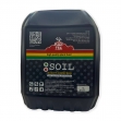    RasTea Soil Auto-flowering 5 