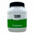   SUMO Evergreen 1 