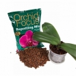 Growth Technology Orchid 3 л