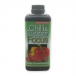  Chilli Focus 1 