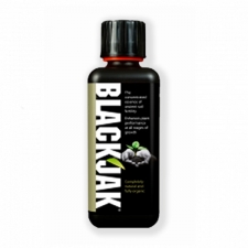  Growth Technology BlackJak
