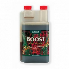  CANNA Boost Accelerator 1 