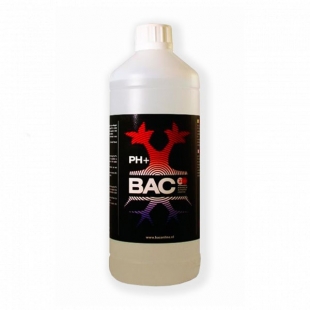 Раствор для повышения уровня кислотности BAC pH Up 1 литр