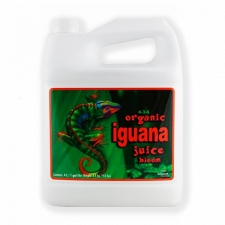  Iguana Juice Bloom 4 