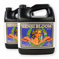  Sensi Bloom A + B 5 