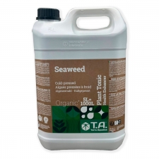  Terra Aquatica Seaweed 5 