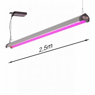 LED  Union Power Star 250W-T