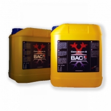  BAC Coco Bloom A + B 5 
