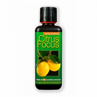     Growth Technology Citrus Focus 300 