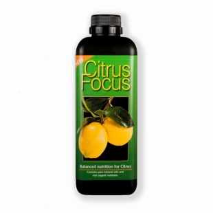     Growth Technology Citrus Focus 1 