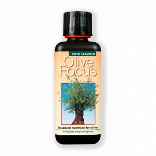   Growth Technology Olive Focus 300 