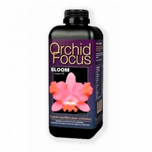   Growth Technology Orchid Focus Bloom 1 