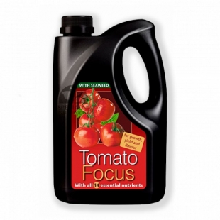   Growth Technology Tomato Focus 2 